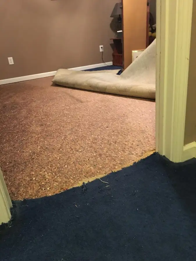 Carpet pad removal revealing water damage during Drying & Dehumidification in Hamlet