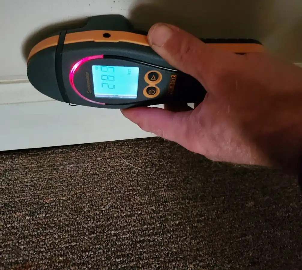 Moisture detection at baseboard during Sewage Cleanup & Sanitation in Hamlet